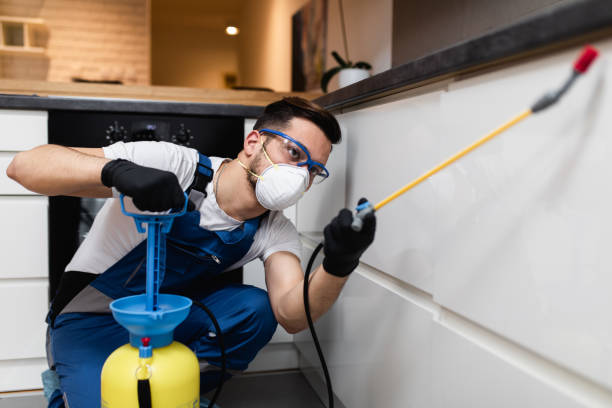 Best Cockroach Control Services  in Beesleys Point, NJ