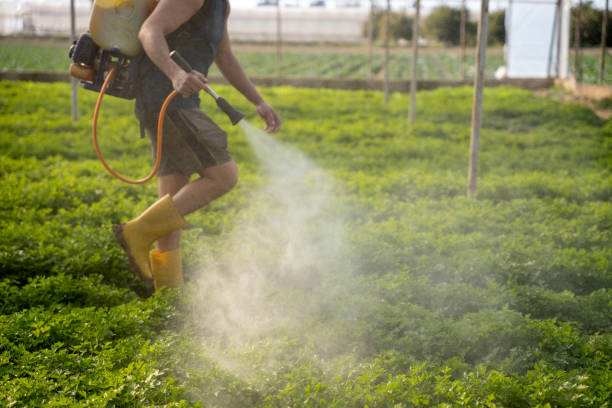 Best Residential Pest Control  in Beesleys Point, NJ