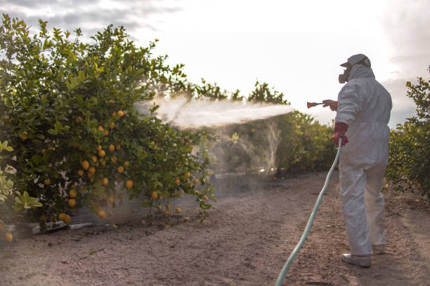 Best Affordable Pest Control Services  in Beesleys Point, NJ